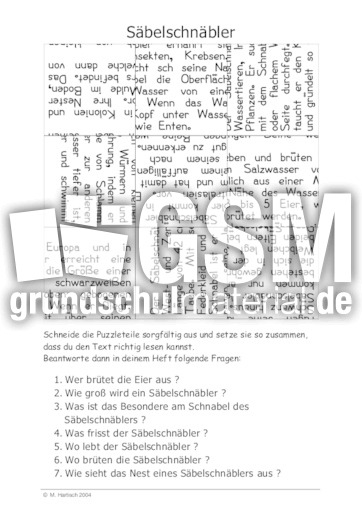 Säbelschnäbler.pdf